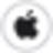 Apple Pay